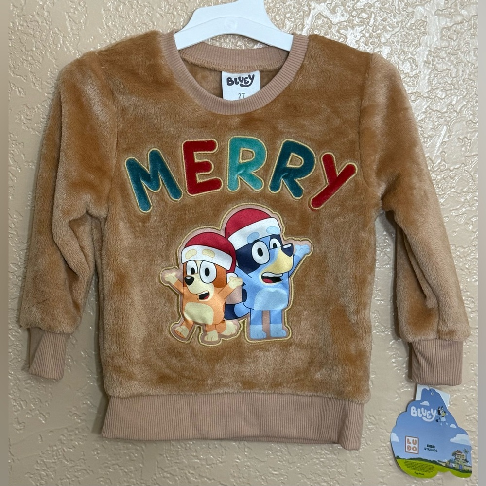 Bluey & Bingo 2T Soft Sweater New